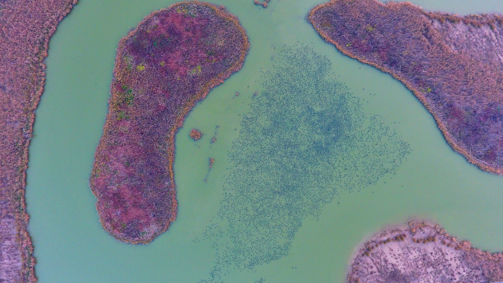 醉美生态 佚名_meitu_5.jpg